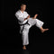 WIKF - KAMINARI X 14oz PREMIUM KATA GI PAKKE - RØD OG BLÅ JAKKE