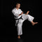 WIKF - KAMINARI X 14oz PREMIUM KATA GI