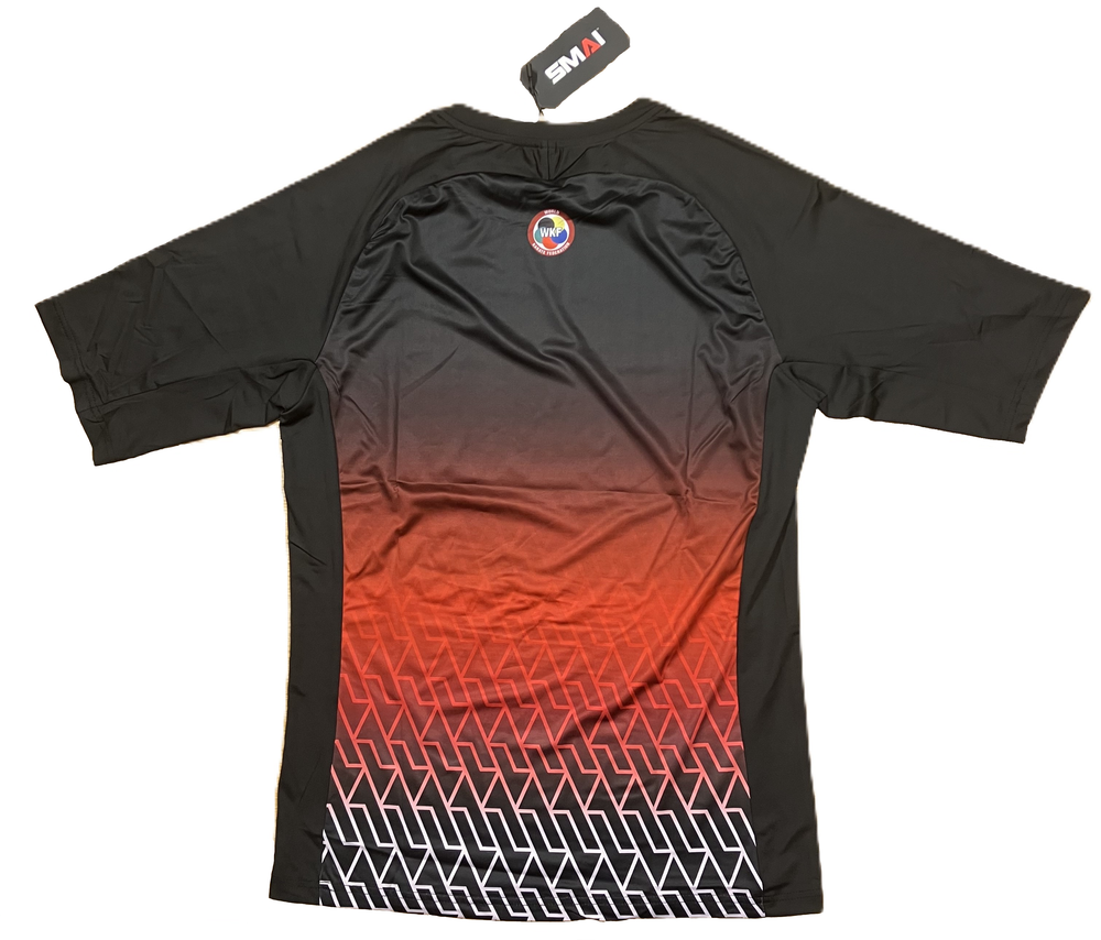 SMAI TRENINGS T-SKJORTE OG SHORTS