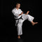 KAMINARI X - 14oz PREMIUM KATA GI